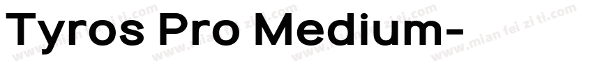 Tyros Pro Medium字体转换